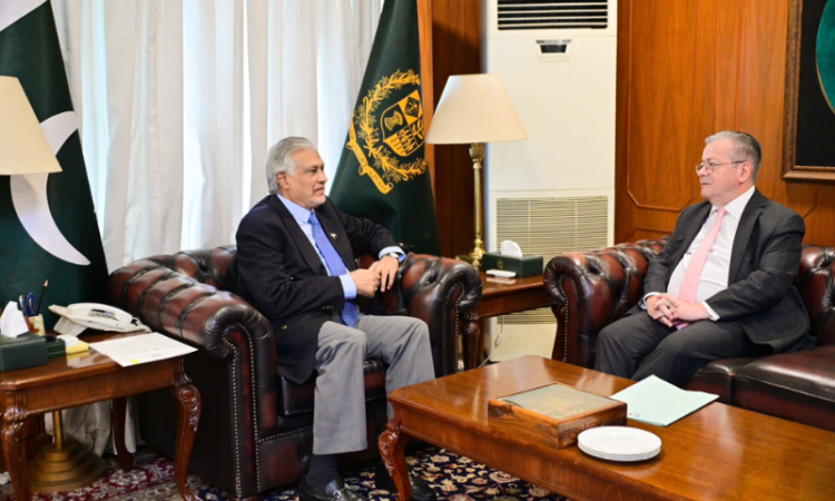 Ishaq Dar bids farewell to outgoing French ambassador