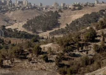Pakistan, 11 other countries condemn Israeli strikes on Syrian military base