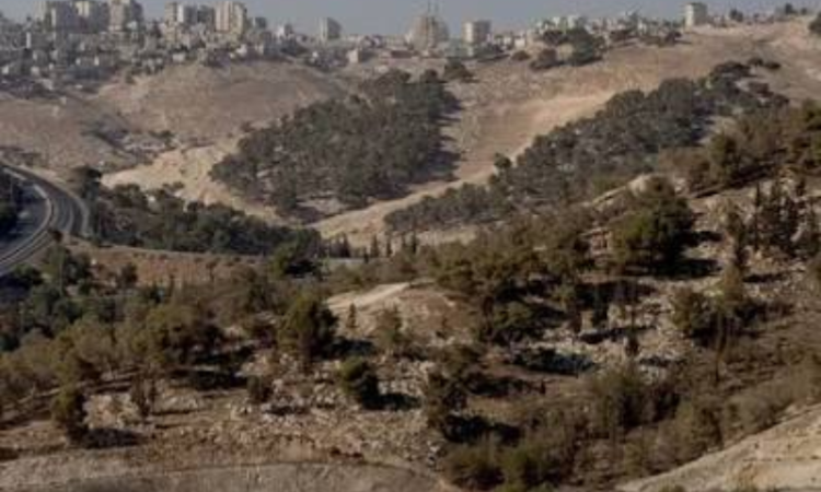 Pakistan, 11 other countries condemn Israeli strikes on Syrian military base