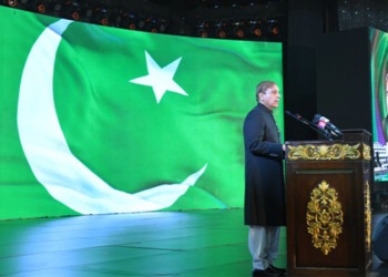 PM Shehbaz calls for national unity, economic progress on 79th Independence Day
