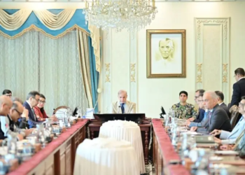 PM directs swift restructuring of Privatisation Commission, seeks global investors for Discos