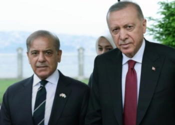 PM Shehbaz extends warm felicitations to Türkiye on Victory Day