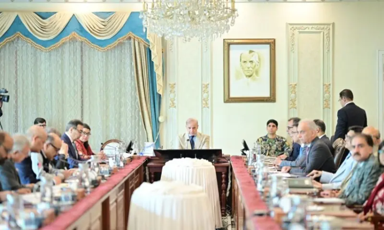 PM directs swift restructuring of Privatisation Commission, seeks global investors for Discos