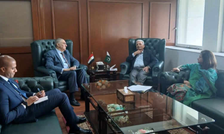 Pakistan, Egypt agree to strengthen agricultural cooperation, improve cotton production and quality