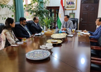 Tajikistan, Pakistan discuss cooperation in information technology and telecommunications