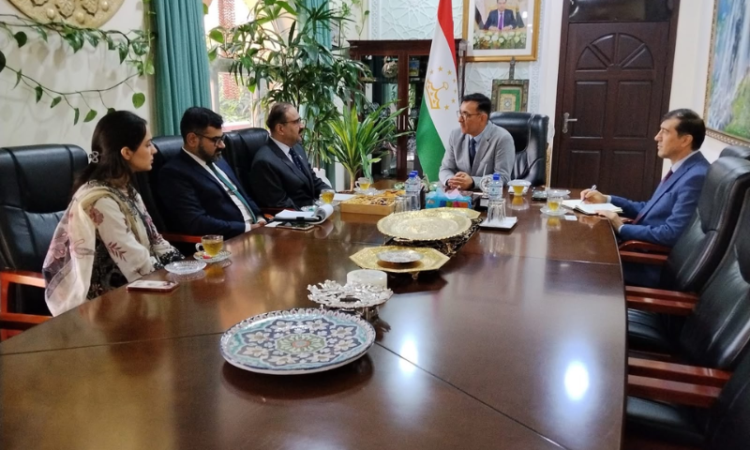 Tajikistan, Pakistan discuss cooperation in information technology and telecommunications