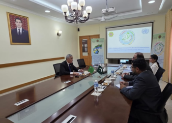 Pakistan, Turkmenistan explore stronger cooperation in information technology