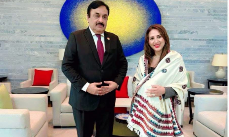 Pakistan, US urged to deepen parliamentary and institutional ties