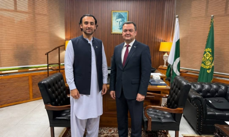 Uzbekistan, Pakistan expand cooperation in digital economy and virtual assets