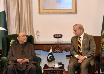 Shehbaz briefs Zardari on Pakistan, Saudi Arabia, Türkiye defence pact
