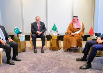 R-4 foreign ministers reaffirm support for Palestinian statehood, call for regional stability through dialogue