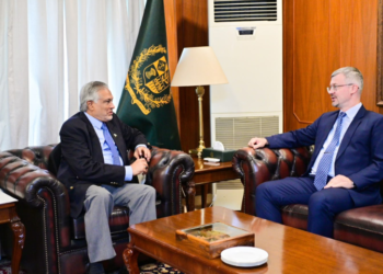 Ishaq Dar, Russian ambassador discuss stronger Pakistan-Russia ties