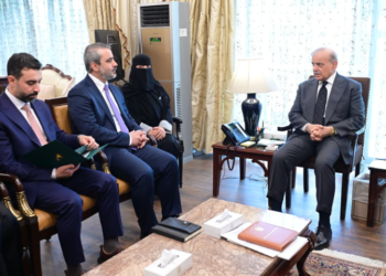 Pakistan, Syria reaffirm support for sovereignty, seek broader cooperation