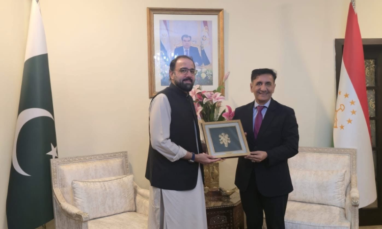 Tajik ambassador, Ch Salik discuss stronger economic and labour ties
