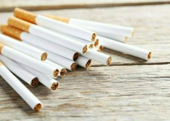 PCCR and SPARC discuss strengthening tobacco control for protection of children