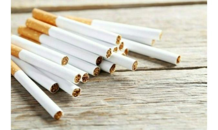 PCCR and SPARC discuss strengthening tobacco control for protection of children