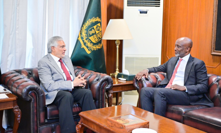 Ishaq Dar bids farewell to UN coordinator Mohamed Yahya, hails Pakistan-UN cooperation