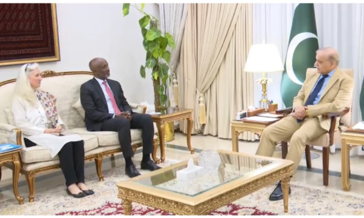 PM Shehbaz bids farewell to UN coordinator Mohamed Yahya