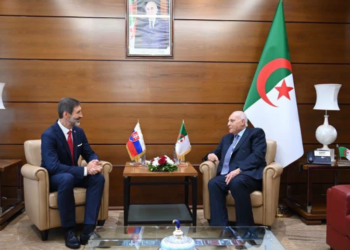 Algeria and Slovakia agree to strengthen bilateral cooperation