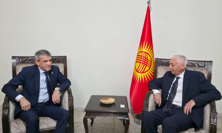 Azerbaijan, Kyrgyzstan discuss strengthening bilateral cooperation