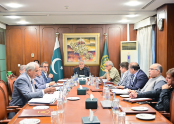 Power sector reforms reviewed at first meeting of PM-constituted committee