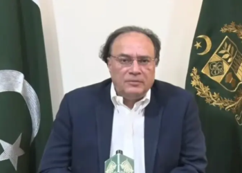 Protests could cause Rs120bn daily economic loss, says finance minister