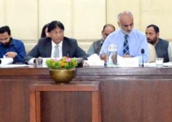 Senate panel seeks fresh CCI review of power distribution privatisation, demands implementation of devolution