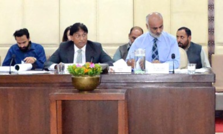 Senate panel seeks fresh CCI review of power distribution privatisation, demands implementation of devolution
