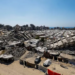 Joint statement rejects forced displacement of Palestinians from Gaza