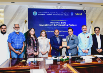 ICCI hosts interactive session on UNDP SDGs investment projects