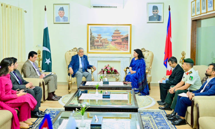 Ishaq Dar expresses solidarity with Nepal over floods, landslides