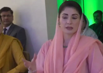 Maryam warns Punjab faces greater security threat from neighbouring provinces