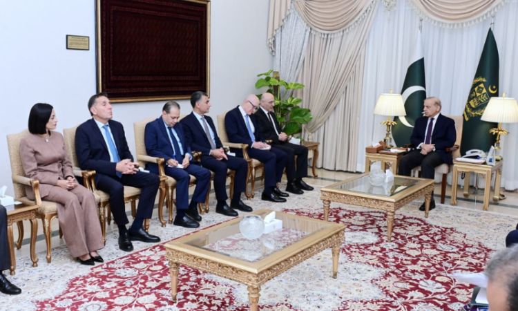 Lebanese interior minister calls on Prime Minister Shehbaz