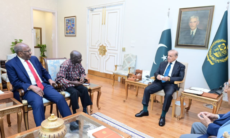 PM Shehbaz meets UN secretary-general candidate Olara Otunnu