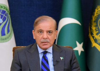 Democracy founded on equality, justice and freedom: PM Shehbaz