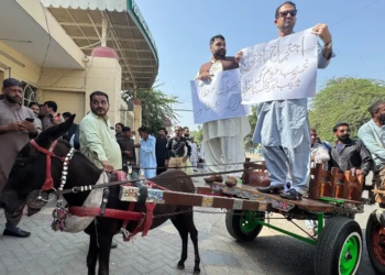 PTI lawmakers ride donkey carts to Sindh Assembly over fuel price hike
