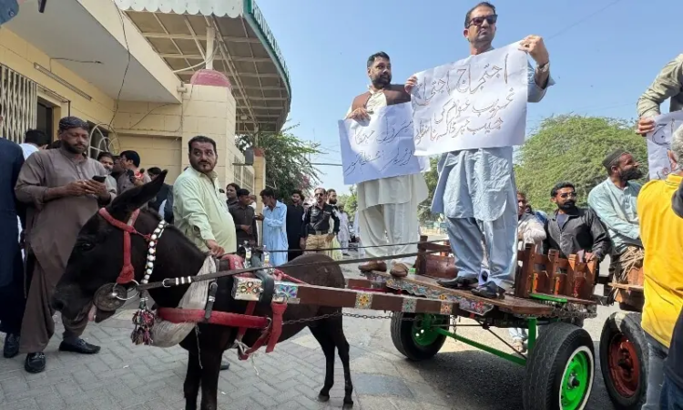 PTI lawmakers ride donkey carts to Sindh Assembly over fuel price hike