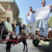 PTI lawmakers ride donkey carts to Sindh Assembly over fuel price hike