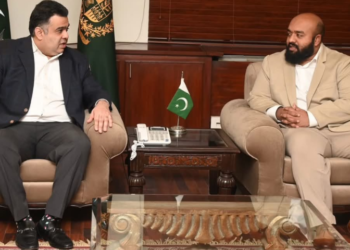 Pakistan, Maldives discuss cooperation in digital media and technology