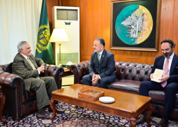 Pakistan, Türkiye review bilateral cooperation, regional situation