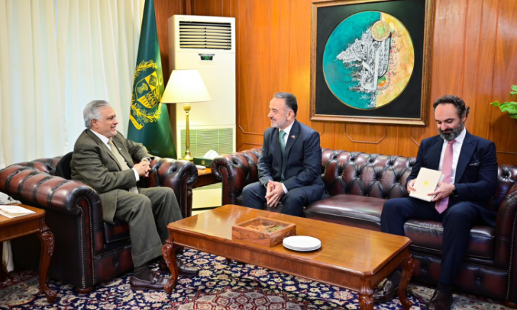 Pakistan, Türkiye review bilateral cooperation, regional situation