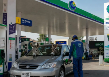 Petrol dealers refuse to implement Rs100 relief scheme