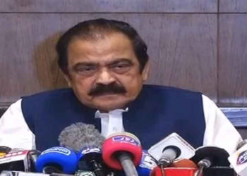 Parliament to decide on creation of new provinces, says Sanaullah