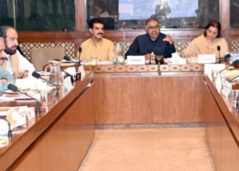 Senate committee flags delays, interest costs in Dasu transmission project