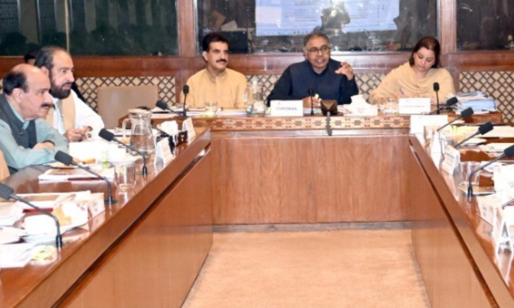 Senate committee flags delays, interest costs in Dasu transmission project