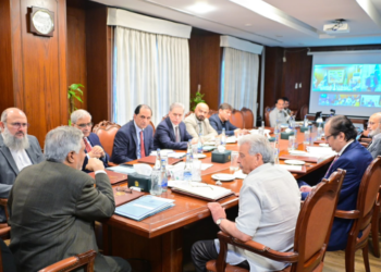 Ishaq Dar reviews wheat import process, directs supply to provinces