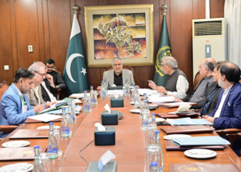 Dar directs federal, provincial governments to stabilise wheat prices