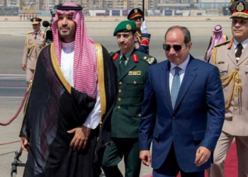 Egypt offers Saudi Arabia support amid escalating Houthi attacks