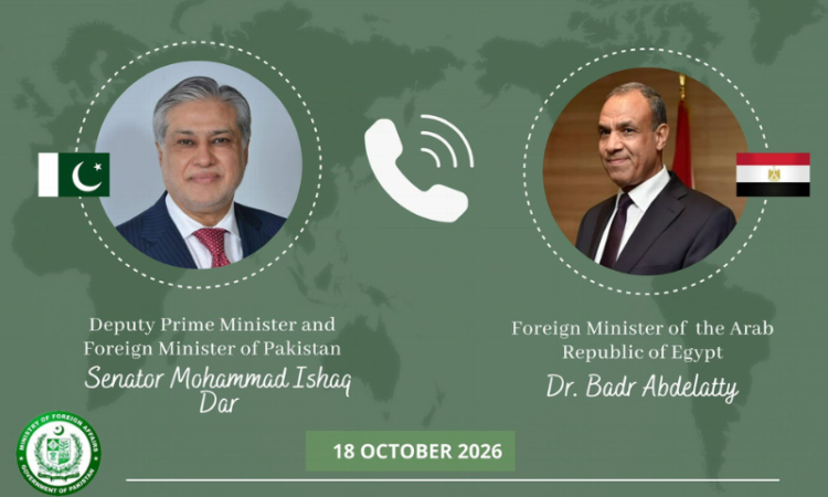 Dar, Egyptian counterpart condemn Houthi attacks on Saudi Arabia