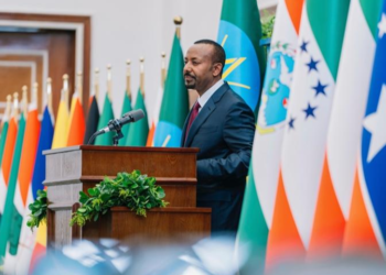 Ethiopia urges international community to condemn Eritrea’s alleged aggression